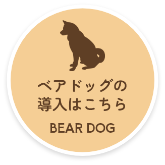ベアドックの導入