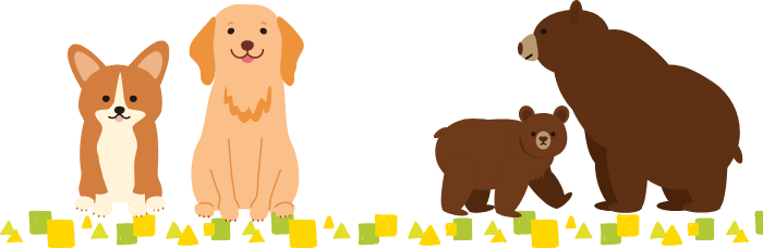 ベアドッグ事業についてベアドッグ事業について